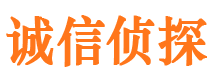 开县市私人侦探